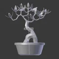 Mô hình cây Bonsai 3D kèm chậu - Tự tay tô màu trang trí - Thumbnail 5
