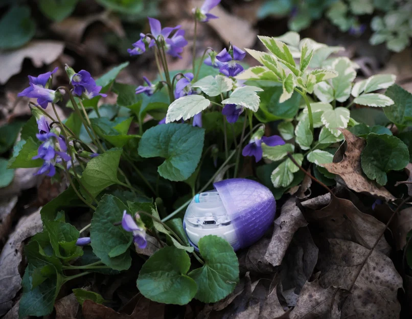 Vỏ trứng (Egg Shell) cho Sphero Mini - Image 1