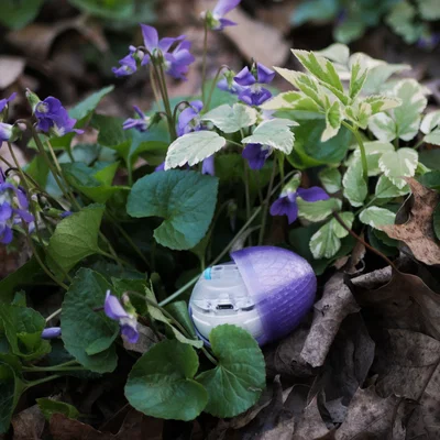 Vỏ trứng (Egg Shell) cho Sphero Mini