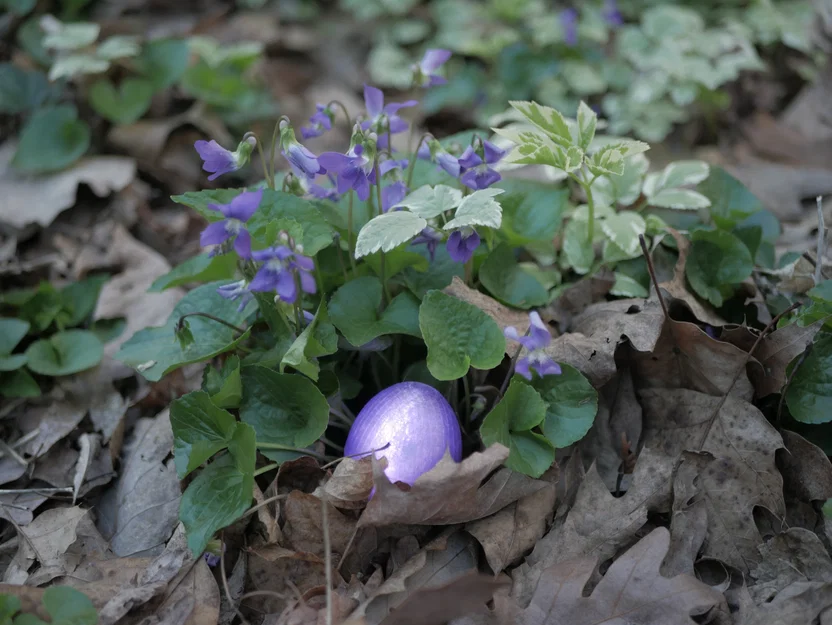 Vỏ trứng (Egg Shell) cho Sphero Mini - Image 3