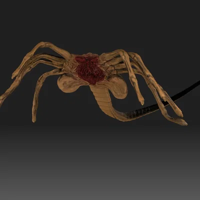Mô hình Facehugger chi tiết