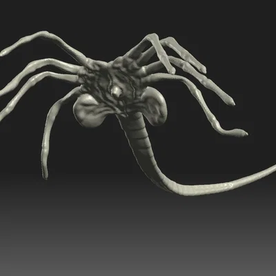 Mô hình Facehugger chi tiết