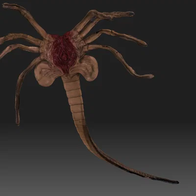 Mô hình Facehugger chi tiết