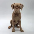 Tượng Chó Boxer Ngồi Phong Cách Điêu Khắc Gỗ - Thumbnail 2