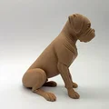 Tượng Chó Boxer Ngồi Phong Cách Điêu Khắc Gỗ - Thumbnail 5