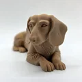 Tượng chó Dachshund lông ngắn đang nằm - Thumbnail 3