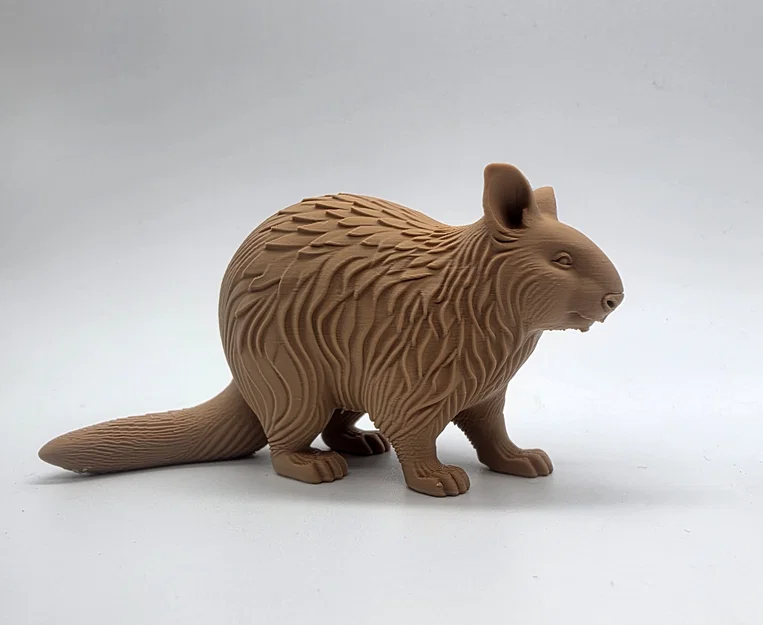 Tượng Gấu Wombat Chạm Khắc Gỗ - Image 1