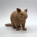 Tượng Gấu Wombat Chạm Khắc Gỗ - Thumbnail 3