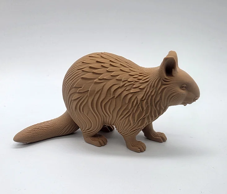 Tượng Gấu Wombat Chạm Khắc Gỗ - Image 5