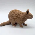 Tượng Gấu Wombat Chạm Khắc Gỗ - Thumbnail 5