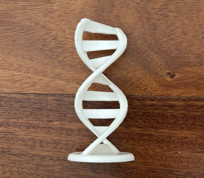 Mô hình trang trí chuỗi xoắn kép DNA (DNA Double Helix) in 3D đẹp mắt - Image 1