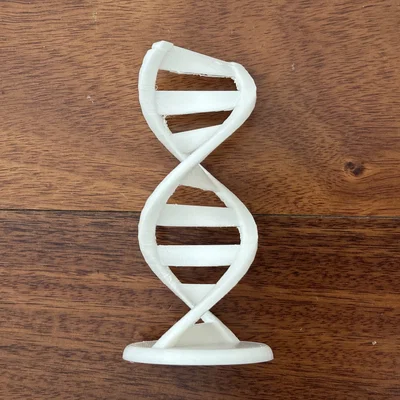 Mô hình trang trí chuỗi xoắn kép DNA (DNA Double Helix) in 3D đẹp mắt