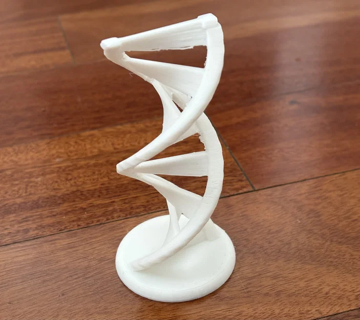 Mô hình trang trí chuỗi xoắn kép DNA (DNA Double Helix) in 3D đẹp mắt - Image 2