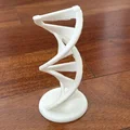 Mô hình trang trí chuỗi xoắn kép DNA (DNA Double Helix) in 3D đẹp mắt - Thumbnail 2
