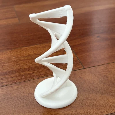 Mô hình trang trí chuỗi xoắn kép DNA (DNA Double Helix) in 3D đẹp mắt