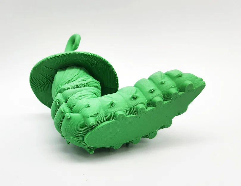 Caterpillar Witch - Phù thủy sâu bướm - Image 7