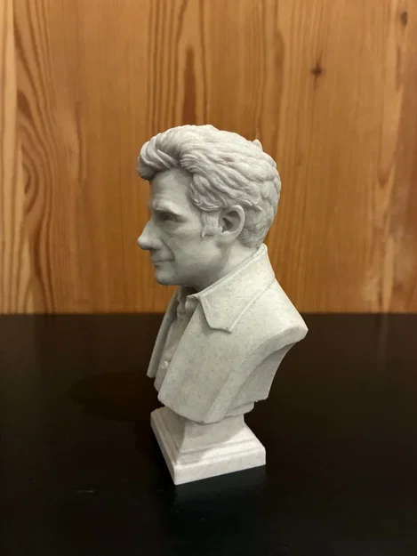 Tượng bán thân David (Seth Kotkin) Copperfield - Image 3