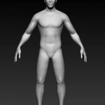 Mô hình cơ sở nam giới (Male Base Mesh) chuẩn cho điêu khắc 3D