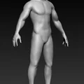 Mô hình cơ sở nam giới (Male Base Mesh) chuẩn cho điêu khắc 3D - Thumbnail 2