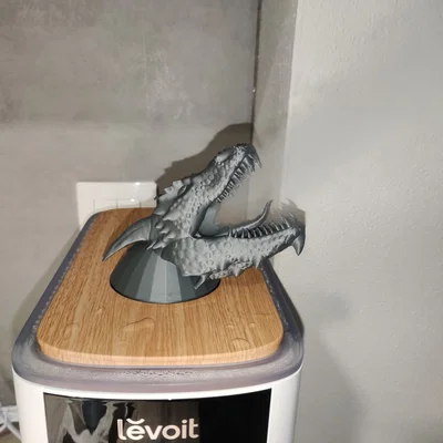 Vòi phun sương hình đầu rồng độc đáo