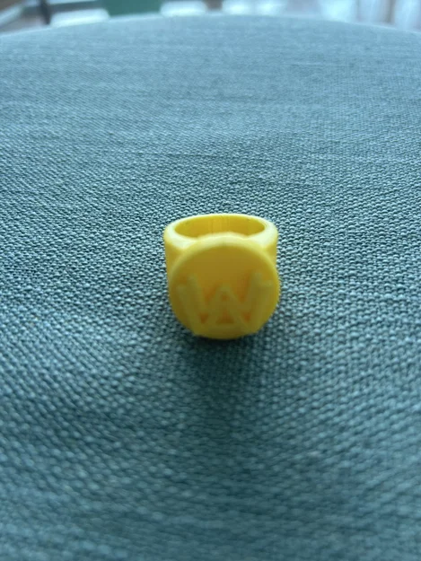 Mô hình nhẫn vô địch WWE Hall Of Fame 2015 in 3D độc đáo - Image 1