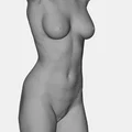 Mô hình 3D Torso nữ giới - Thiết kế điêu khắc nghệ thuật tinh tế - Thumbnail 1