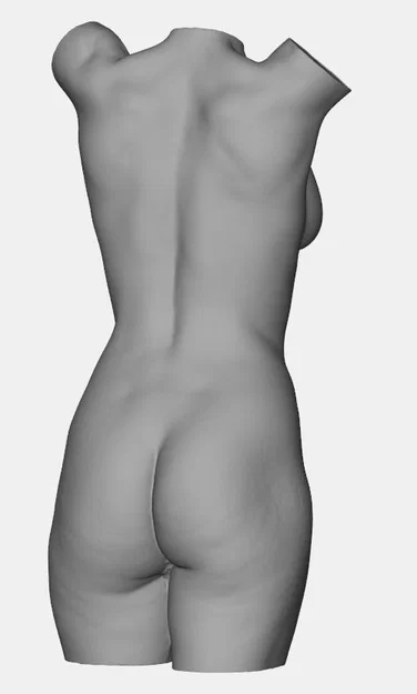 Mô hình 3D Torso nữ giới - Thiết kế điêu khắc nghệ thuật tinh tế - Image 2