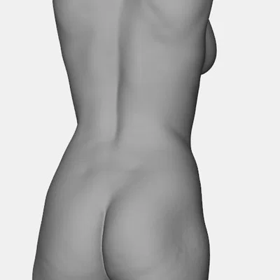 Mô hình 3D Torso nữ giới - Thiết kế điêu khắc nghệ thuật tinh tế