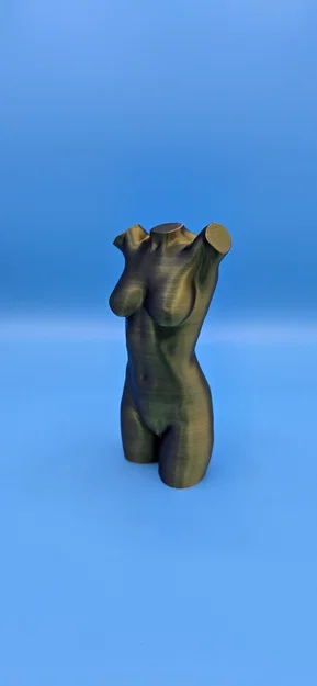 Mô hình 3D Torso nữ giới - Thiết kế điêu khắc nghệ thuật tinh tế - Image 3