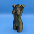 Mô hình 3D Torso nữ giới - Thiết kế điêu khắc nghệ thuật tinh tế - Thumbnail 3