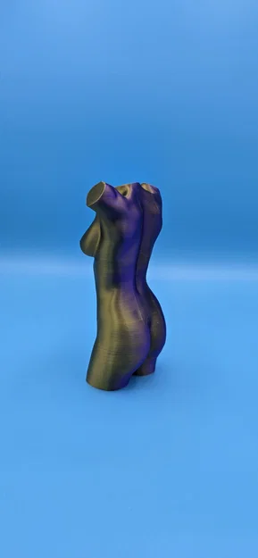 Mô hình 3D Torso nữ giới - Thiết kế điêu khắc nghệ thuật tinh tế - Image 4