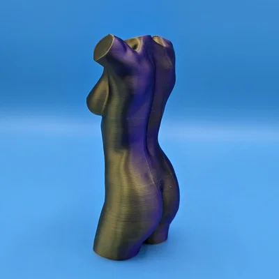 Mô hình 3D Torso nữ giới - Thiết kế điêu khắc nghệ thuật tinh tế