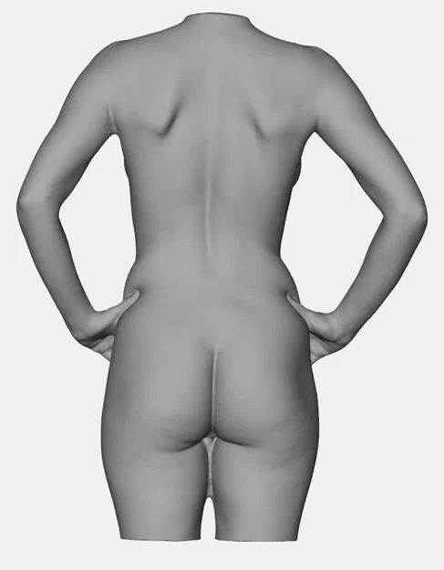 Mô hình 3D Torso Nữ Giới Chất Lượng Cao - Female Torso Scan STL - Image 2