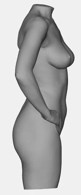 Mô hình 3D Torso Nữ Giới Chất Lượng Cao - Female Torso Scan STL - Image 3