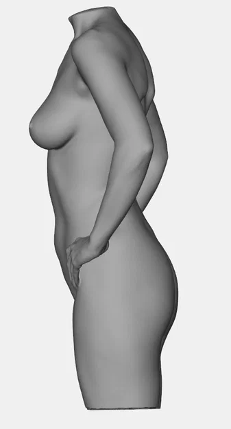 Mô hình 3D Torso Nữ Giới Chất Lượng Cao - Female Torso Scan STL - Image 4