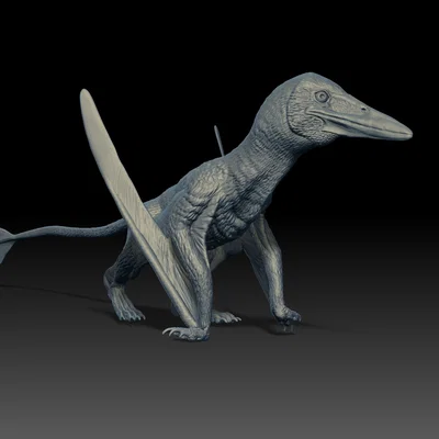 Mô hình thằn lằn bay Prenondactylus 1:1 chi tiết cho máy in 3D