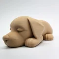 Mô hình chú cún nhỏ đang ngủ đáng yêu - In 3D không cần support - Thumbnail 9