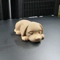 Mô hình chú cún nhỏ đang ngủ đáng yêu - In 3D không cần support - Thumbnail 10