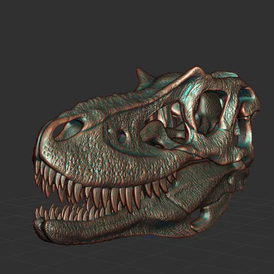 Mô hình hộp sọ khủng long Gorgosaurus