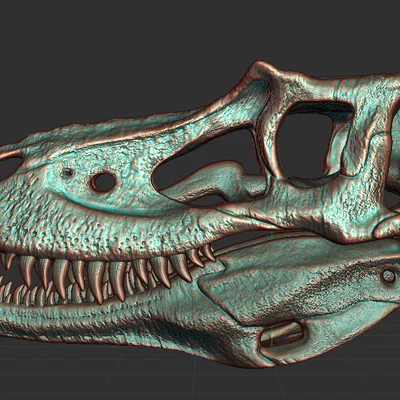 Mô hình hộp sọ khủng long Gorgosaurus