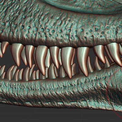 Mô hình hộp sọ khủng long Gorgosaurus