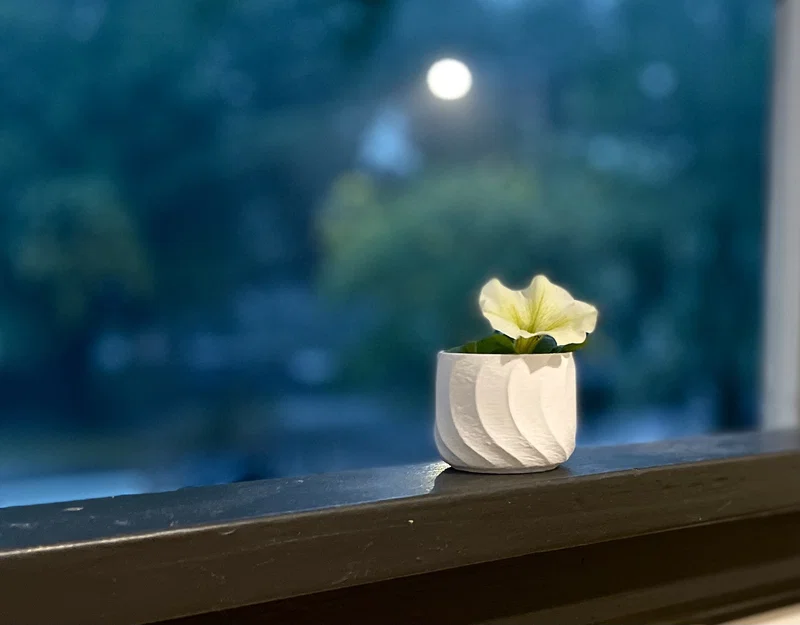 Chậu hoa nhỏ xinh - Image 3