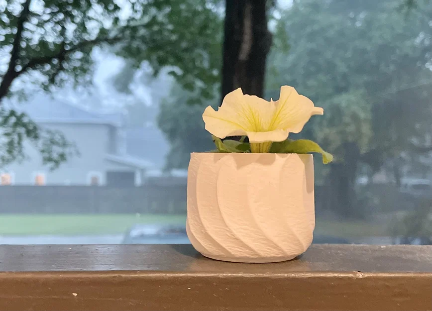 Chậu hoa nhỏ xinh - Image 4