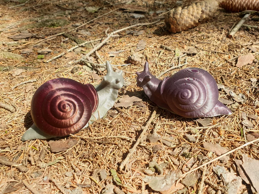 Mô hình ốc sên 3D đa vật liệu độc đáo - Remix Multi-material - Image 1