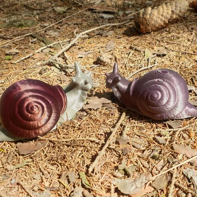 Mô hình ốc sên 3D đa vật liệu độc đáo - Remix Multi-material