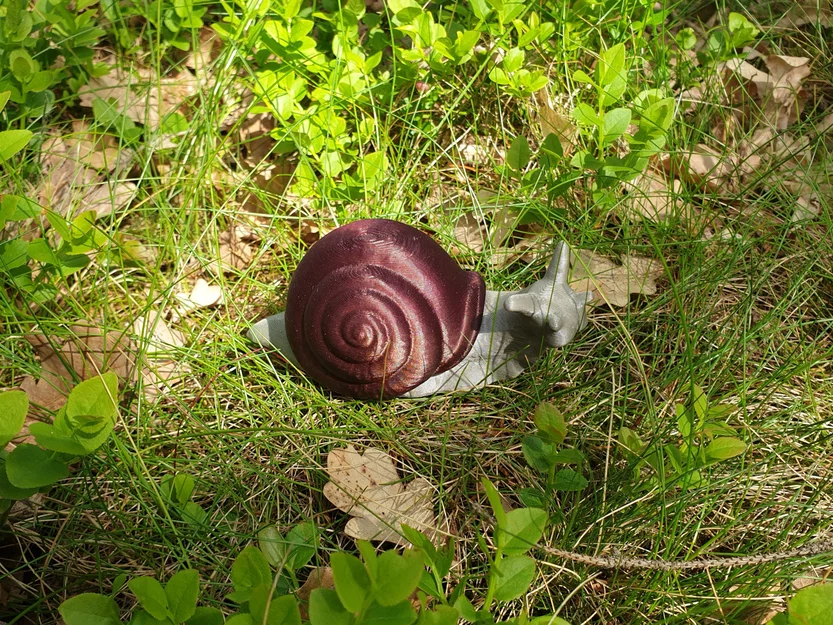 Mô hình ốc sên 3D đa vật liệu độc đáo - Remix Multi-material - Image 2