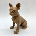 Tượng chú chó Boston Terrier đang ngồi - Thumbnail 1