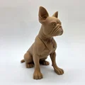 Tượng chú chó Boston Terrier đang ngồi - Thumbnail 2