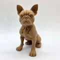 Tượng chú chó Boston Terrier đang ngồi - Thumbnail 3