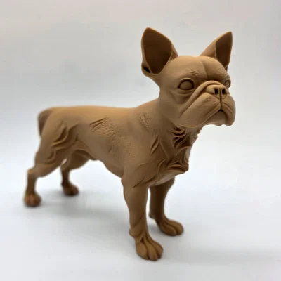 Mô hình chú chó Boston Terrier đang đứng